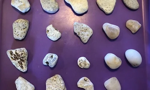 Moeraki stones pretumble