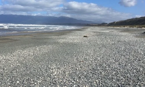 photo of Papatotara coastal collection of stones