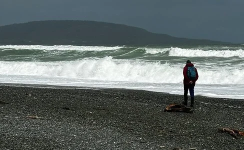 That's JP fossicking at Gemstone Beach just ahead of me