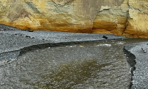 The Taunoa Stream in September 2024