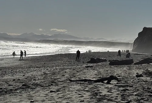 members of the public on Gemstone Beach